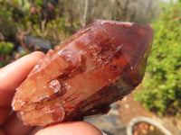 Natural Red Hematoid Quartz Specimens x 12 From Karoi, Zimbabwe