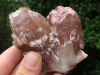 Natural Red Hematite Quartz Crystal Specimens x 12 From Karoi, Zimbabwe - TopRock