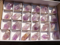 Natural Highly Selected Jacaranda Amethyst Crystals  x 24 From Zambia - Toprock Gemstones and Minerals 