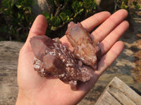 Natural Red Hematoid Quartz Specimens x 12 From Karoi, Zimbabwe