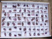 Natural Mini Smokey Amethyst Crystals  x 70 From Chiredzi, Zimbabwe - Toprock Gemstones and Minerals 