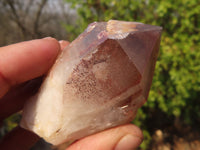 Natural Red Hematoid Quartz Specimens x 12 From Karoi, Zimbabwe