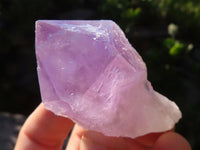 Natural Highly Selected Jacaranda Amethyst Crystals  x 24 From Zambia - Toprock Gemstones and Minerals 