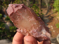 Natural Red Hematoid Quartz Specimens x 12 From Karoi, Zimbabwe