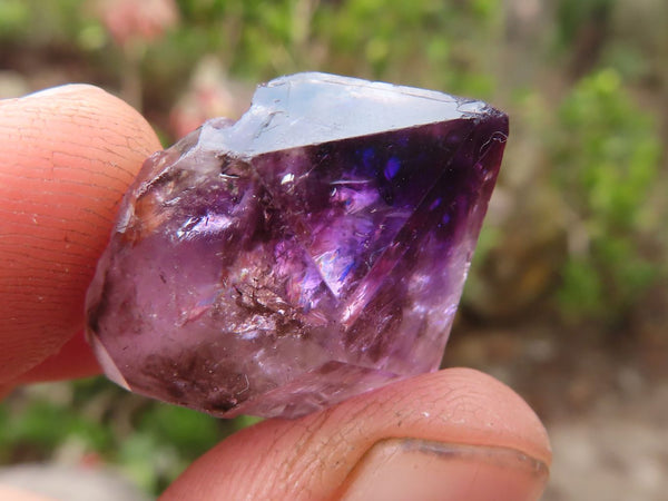 Natural Mini Smokey Amethyst Crystals  x 70 From Chiredzi, Zimbabwe - Toprock Gemstones and Minerals 