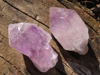 Natural Highly Selected Jacaranda Amethyst Crystals  x 24 From Zambia - Toprock Gemstones and Minerals 