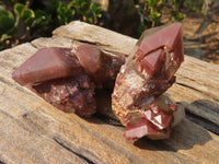 Natural Red Hematoid Quartz Specimens x 12 From Karoi, Zimbabwe