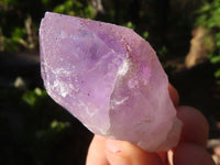 Natural Highly Selected Jacaranda Amethyst Crystals  x 24 From Zambia - Toprock Gemstones and Minerals 