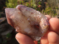 Natural Red Hematoid Quartz Specimens x 12 From Karoi, Zimbabwe