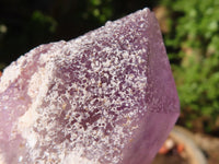 Natural Highly Selected Jacaranda Amethyst Crystals  x 24 From Zambia - Toprock Gemstones and Minerals 