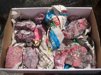 Natural Rough Rhodonite Cobbed Specimens  x 9 From Zimbabwe - TopRock