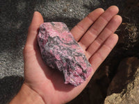 Natural Rough Rhodonite Cobbed Specimens  x 9 From Zimbabwe - TopRock