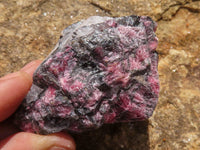 Natural Rough Rhodonite Cobbed Specimens  x 9 From Zimbabwe - TopRock