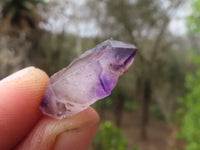 Natural Mini Smokey Amethyst Crystals  x 70 From Chiredzi, Zimbabwe - Toprock Gemstones and Minerals 