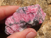 Natural Rough Rhodonite Cobbed Specimens  x 9 From Zimbabwe - TopRock