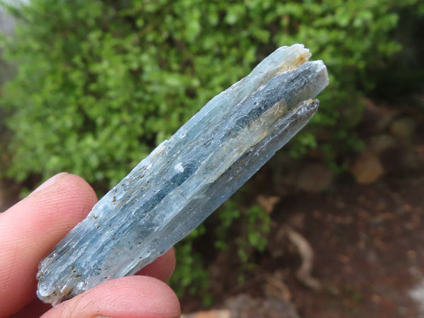 Natural Single Blue Kyanite Crystals  x 2.2 Kg Lot From Karoi, Zimbabwe - Toprock Gemstones and Minerals 