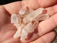 Natural Small Single Quartz Crystals  x 2.1 Kg Lot From Madagascar - Toprock Gemstones and Minerals 