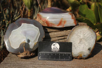 Polished Partially Polished Red Sashe River Agate Nodules  x 3 From Limpopo River, Zimbabwe - TopRock