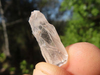 Natural Small Single Quartz Crystals  x 2.1 Kg Lot From Madagascar - Toprock Gemstones and Minerals 