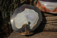 Polished Partially Polished Red Sashe River Agate Nodules  x 3 From Limpopo River, Zimbabwe - TopRock