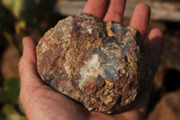 Polished Partially Polished Red Sashe River Agate Nodules  x 3 From Limpopo River, Zimbabwe - TopRock