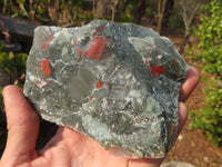 Natural Rough Bloodstone Specimens  x 6 From Swaziland