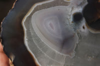 Polished Partially Polished Red Sashe River Agate Nodules  x 3 From Limpopo River, Zimbabwe - TopRock