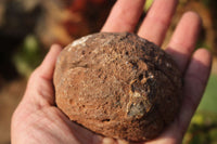 Polished Partially Polished Red Sashe River Agate Nodules  x 3 From Limpopo River, Zimbabwe - TopRock