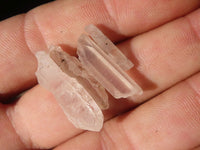 Natural Small Single Quartz Crystals  x 2.1 Kg Lot From Madagascar - Toprock Gemstones and Minerals 