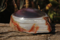 Polished Partially Polished Red Sashe River Agate Nodules  x 3 From Limpopo River, Zimbabwe - TopRock