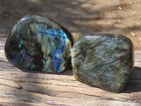 Polished Flashy Blue & Gold Labradorite Standing Free Forms  x 2 From Tulear, Madagascar - TopRock