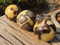 Polished Septaria Spheres x 3 From Madagascar