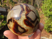 Polished Septaria Spheres x 3 From Madagascar