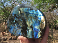 Polished Flashy Blue & Gold Labradorite Standing Free Forms  x 2 From Tulear, Madagascar - TopRock