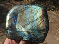 Polished Flashy Blue & Gold Labradorite Standing Free Forms  x 2 From Tulear, Madagascar - TopRock