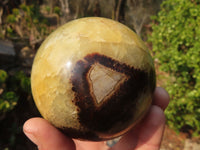 Polished Septaria Spheres x 3 From Madagascar