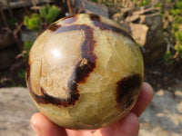 Polished Septaria Spheres x 3 From Madagascar