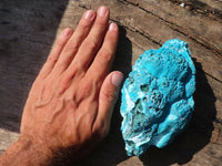 Natural Blue Chrysocolla On Silky Malachite Matrix Specimens  x 2 From Kulukuluku, Congo - Toprock Gemstones and Minerals 