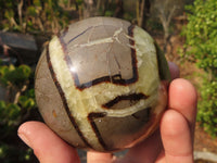 Polished Septaria Spheres x 3 From Madagascar