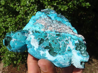 Natural Blue Chrysocolla On Silky Malachite Matrix Specimens  x 2 From Kulukuluku, Congo - Toprock Gemstones and Minerals 