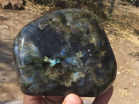 Polished Flashy Blue & Gold Labradorite Standing Free Forms  x 2 From Tulear, Madagascar - TopRock