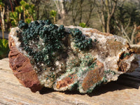 Natural Large Ball Malachite On Quartz Cabinet Specimen  x 1 From Kambove, Congo