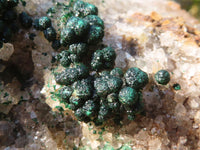 Natural Large Ball Malachite On Quartz Cabinet Specimen  x 1 From Kambove, Congo