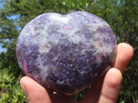 Polished Purple Lepidolite Hearts  x 6 From Madagascar - TopRock