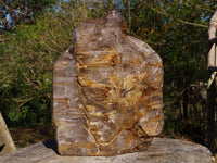 Polished Massive Skeletal Window Quartz Crystal x 1 From Akansobe, Madagascar - TopRock