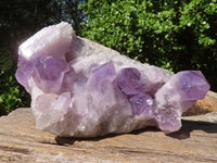 Natural Jacaranda Amethyst Quartz Cluster  x 1 From Zambia - Toprock Gemstones and Minerals 