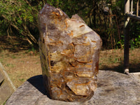 Polished Massive Skeletal Window Quartz Crystal x 1 From Akansobe, Madagascar - TopRock