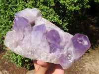 Natural Jacaranda Amethyst Quartz Cluster  x 1 From Zambia - Toprock Gemstones and Minerals 