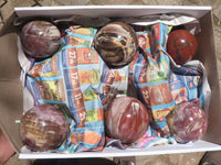 Polished Petrified Red Podocarpus Wood Spheres  x 3 From Mahajanga, Madagascar - TopRock