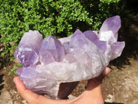 Natural Jacaranda Amethyst Quartz Cluster  x 1 From Zambia - Toprock Gemstones and Minerals 